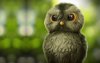 Ultra HD 4K Wallpapers-TheWindowsForum.com__047.jpg