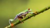 Ultra HD 4K Wallpapers-TheWindowsForum.com__013.jpg
