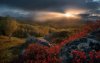 Ultra HD 4K Wallpapers-TheWindowsForum.com__045.jpg