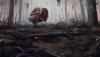 Ultra HD 4K Wallpapers-TheWindowsForum.com__067.jpg