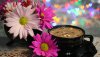 Ultra HD 4K Wallpapers-TheWindowsForum.com__016.jpg