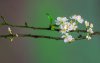 Ultra HD 4K Wallpapers-TheWindowsForum.com__063.jpg