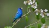 Ultra HD 4K Wallpapers-TheWindowsForum.com__012.jpg