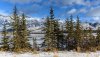 Ultra HD 4K Wallpapers-TheWindowsForum.com__035.jpg