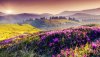 Ultra HD 4K Wallpapers-TheWindowsForum.com__038.jpg