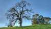 Ultra HD 4K Wallpapers-TheWindowsForum.com__049.jpg