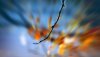 Ultra HD 4K Wallpapers-TheWindowsForum.com__051.jpg