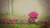Ultra HD 4K Wallpapers-TheWindowsForum.com__073.jpg