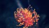 Ultra HD 4K Wallpapers-TheWindowsForum.com__075.jpg