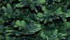 Ultra HD 4K Wallpapers-TheWindowsForum.com__008.jpg