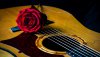 Ultra HD 4K Wallpapers-TheWindowsForum.com__012.jpg