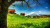 Ultra HD 4K Wallpapers-TheWindowsForum.com__039.jpg