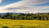 Ultra HD 4K Wallpapers-TheWindowsForum.com__042.jpg