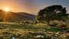 Ultra HD 4K Wallpapers-TheWindowsForum.com__065.jpg