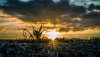 Ultra HD 4K Wallpapers-TheWindowsForum.com__073.jpg
