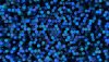 Ultra HD 4K Wallpapers-TheWindowsForum.com__092.jpg