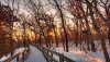 Ultra HD 4K Wallpapers-TheWindowsForum.com__095.jpg