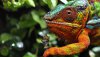 Ultra HD 4K Wallpapers-TheWindowsForum.com__047.jpg