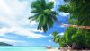 Ultra HD 4K Wallpapers-TheWindowsForum.com__071.jpg