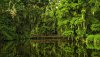 Ultra HD 4K Wallpapers-TheWindowsForum.com__098.jpg