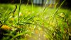 Ultra HD 4K Wallpapers-TheWindowsForum.com__058.jpg