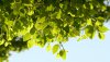 Ultra HD 4K Wallpapers-TheWindowsForum.com__059.jpg