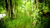 Ultra HD 4K Wallpapers-TheWindowsForum.com__076.jpg