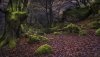 Ultra HD 4K Wallpapers-TheWindowsForum.com__086.jpg