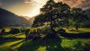 Ultra HD 4K Wallpapers-TheWindowsForum.com__098.jpg