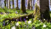 Ultra HD 4K Wallpapers-TheWindowsForum.com__071.jpg