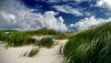 Ultra HD 4K Wallpapers-TheWindowsForum.com__073.jpg