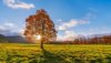 Ultra HD 4K Wallpapers-TheWindowsForum.com__074.jpg