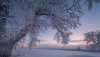 Ultra HD 4K Wallpapers-TheWindowsForum.com__058.jpg