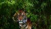 Ultra HD 4K Wallpapers-TheWindowsForum.com__061.jpg