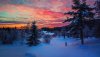 Ultra HD 4K Wallpapers-TheWindowsForum.com__070.jpg