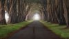 Ultra HD 4K Wallpapers-TheWindowsForum.com__079.jpg