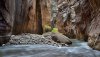Ultra HD 4K Wallpapers-TheWindowsForum.com__087.jpg