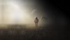 Ultra HD 4K Wallpapers-TheWindowsForum.com__007.jpg