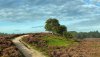 Ultra HD 4K Wallpapers-TheWindowsForum.com__078.jpg