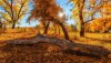 Ultra HD 4K Wallpapers-TheWindowsForum.com__100.jpg