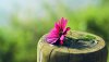 Ultra HD 4K Wallpapers-TheWindowsForum.com__030.jpg