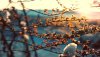 Ultra HD 4K Wallpapers-TheWindowsForum.com__041.jpg