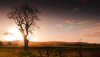 Ultra HD 4K Wallpapers-TheWindowsForum.com__048.jpg