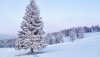 Ultra HD 4K Wallpapers-TheWindowsForum.com__056.jpg