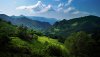 Ultra HD 4K Wallpapers-TheWindowsForum.com__061.jpg