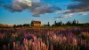 Ultra HD 4K Wallpapers-TheWindowsForum.com__063.jpg