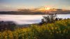 Ultra HD 4K Wallpapers-TheWindowsForum.com__078.jpg