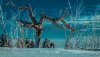 Ultra HD 4K Wallpapers-TheWindowsForum.com__082.jpg