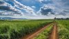 Ultra HD 4K Wallpapers-TheWindowsForum.com__093.jpg