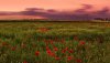 Ultra HD 4K Wallpapers-TheWindowsForum.com__009.jpg